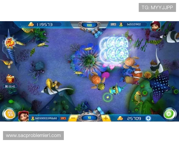 亚博捕鱼举办线上线下融合活动，吸引大量玩家参与推动行业健康发展