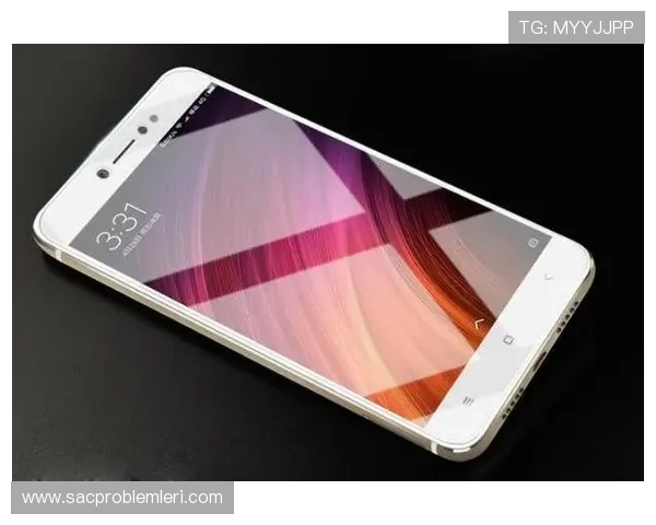 如何解决天空手机登录卡顿或无法登录的常见问题与解决方案