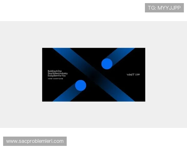 开云体育app官方下载入口，官方渠道保障下载安全与内容正版授权
