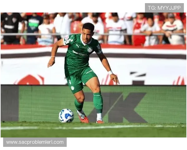 米兰体育.com：米兰体育最新转会消息与潜在引援目标详细分析