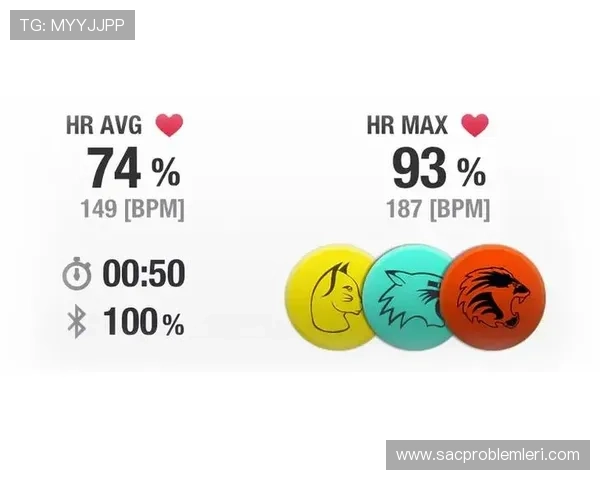 B体育平台的特色功能详解，如何提升你的观看体验与互动参与感