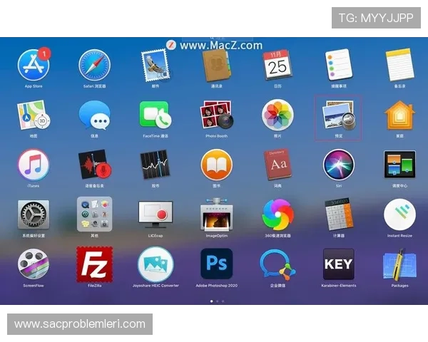 乐动ld体育如何提升用户体验：操作指南与常见问题解答