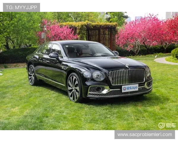 飞驰官方旗舰店最新上市产品 阶段性更新引领潮流