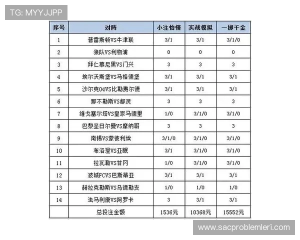 足彩外围有哪些平台可以为用户提供专业的投注技巧和详细的历史数据分析支持