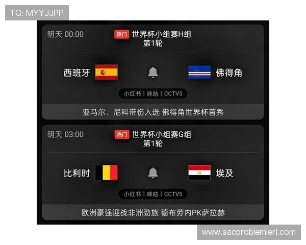 世界杯佛得角VS西班牙比赛反赌球提醒：保障比赛公平的实用建议